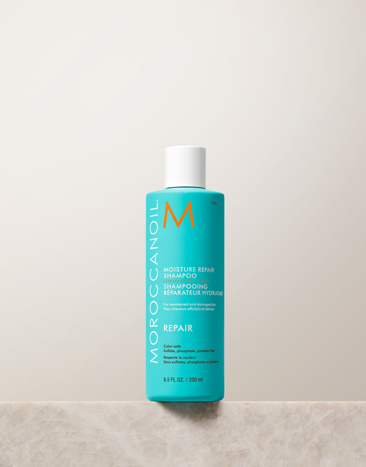 19_SHAMPOO_MOISTURE-REPAIR_250mL_v2